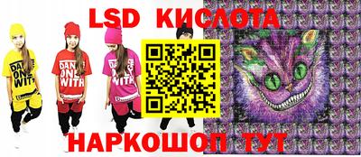 МДПВ Донецк