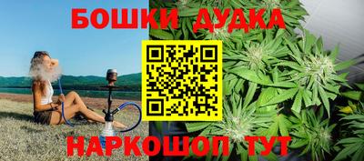 СК Дубна