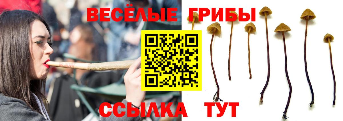 Галлюциногенные грибы Psilocybe  цены наркотик  Лянтор  Вход с VPN 